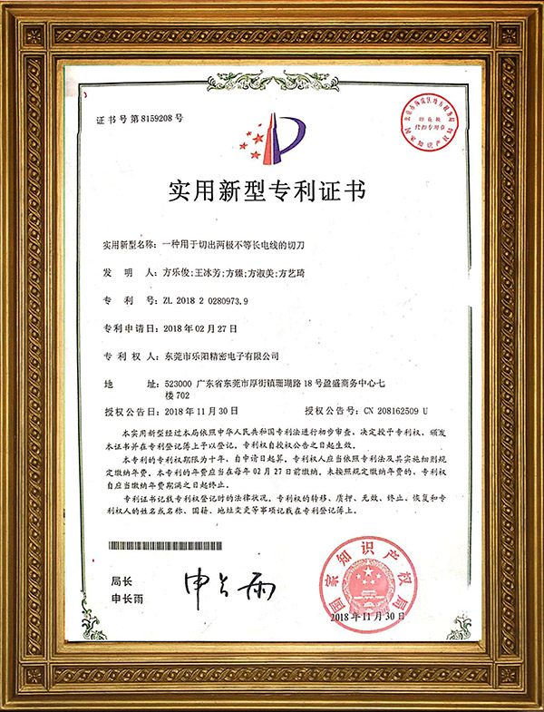 實用新型專利證書 實用新型專利證書
